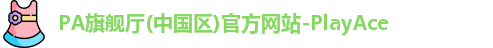 PA旗舰厅(中国区)官方网站-PlayAce